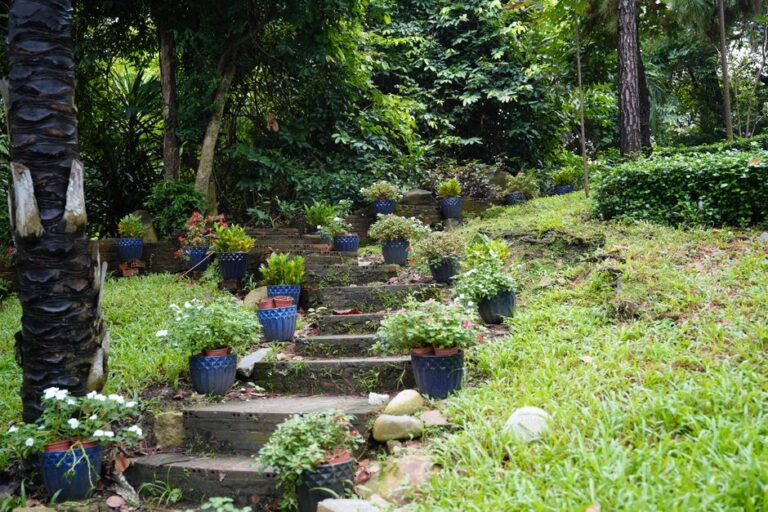 Idées créatives pour aménager le jardin et transformer votre espace extérieur