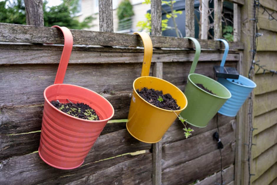 Potager aménagé en carrés de culture.