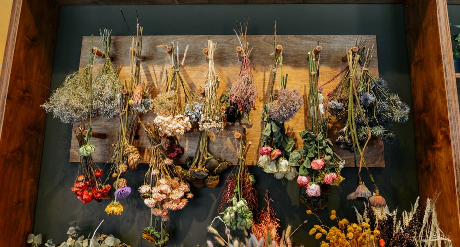 Herbier mural avec fleurs séchées artistiques.