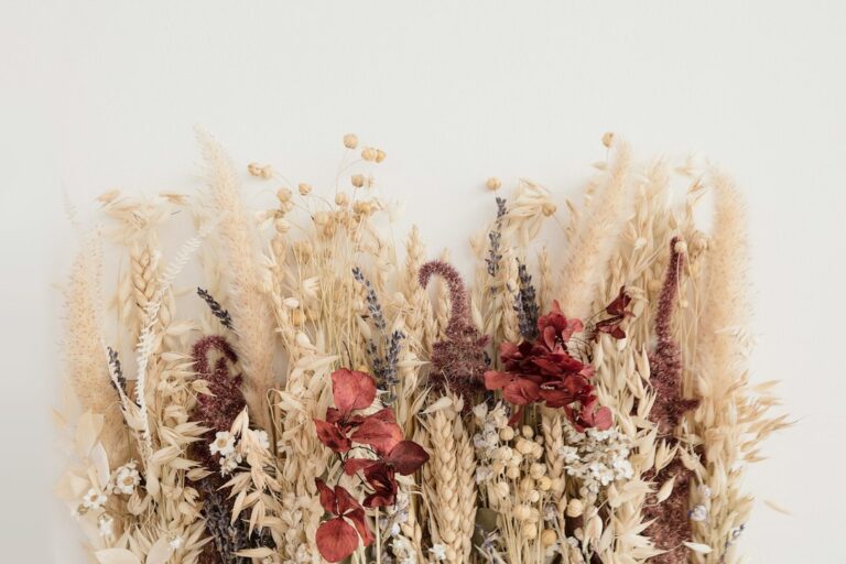 Een herbarium statement-wand creëren: Droogbloemen en lavendel